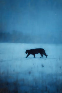 Jaguar Wall Art
