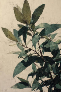 Olive Tree Wall Art