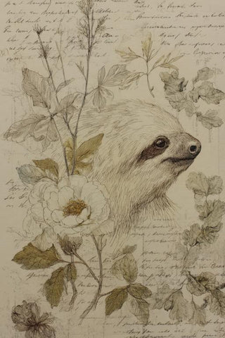 Sloth Wall Art — wall art collection