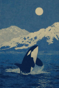Orca Whale Wall Art
