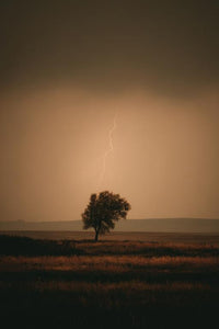 Lightning Wall Art