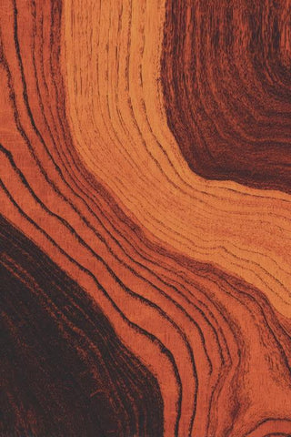 Acoustic Guitar Wall Art — wall art collection