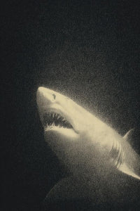 Sand Tiger Shark Wall Art