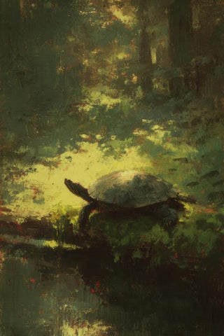 Turtle Wall Art — wall art collection