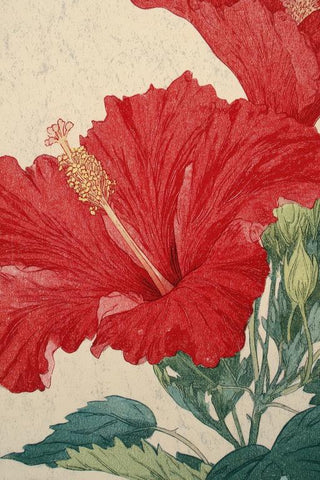 Hibiscus Wall Art — wall art collection