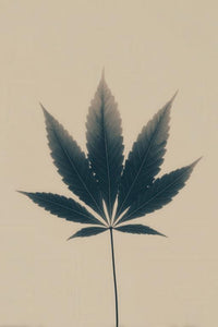 Marijuana Wall Art