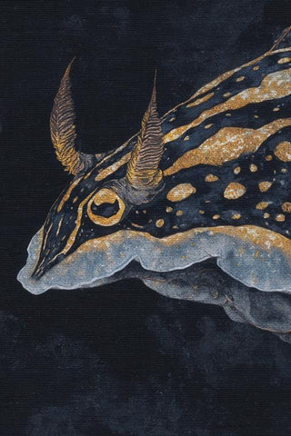 Nudibranch Wall Art — wall art collection