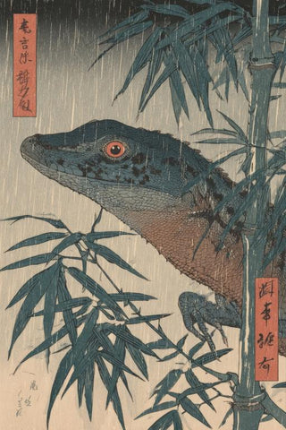 Lizard Wall Art — wall art collection