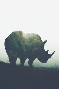 Rhino Wall Art