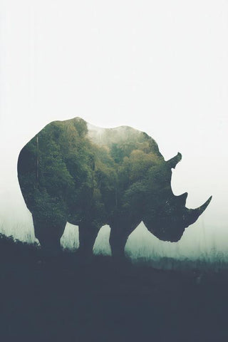 Rhino Wall Art — wall art collection