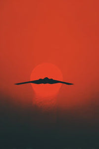 Military Plane Wall Art