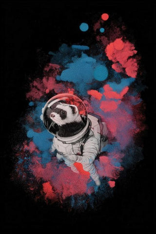 Ferret Wall Art — wall art collection