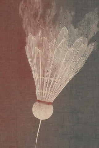 Badminton Wall Art — wall art collection
