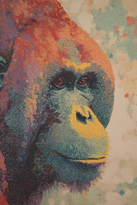 Orangutan Wall Art