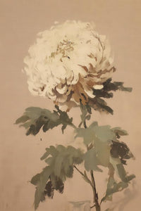 Chrysanthemum Wall Art