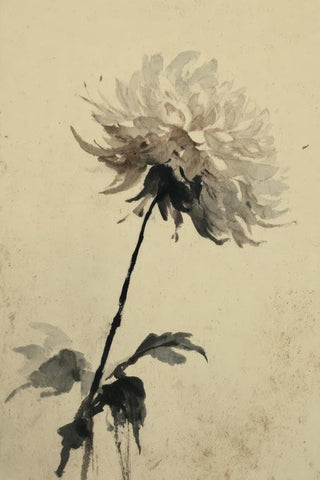 Dahlia Wall Art — wall art collection