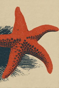 Starfish Wall Art