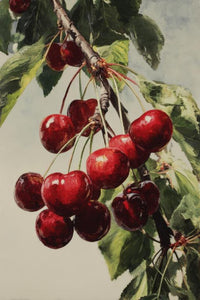 Fruit Trees Wall Art