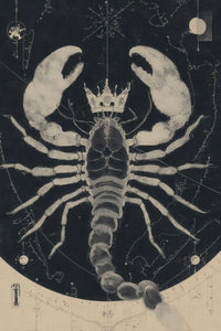 Scorpio Wall Art
