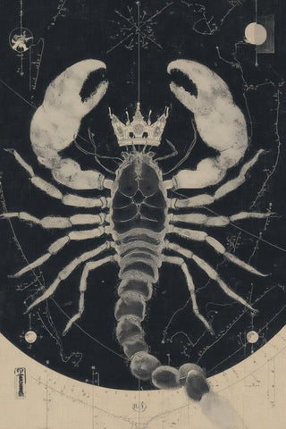 Scorpio Wall Art — wall art collection