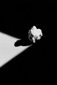 Popcorn Wall Art