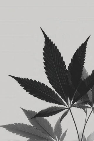 Smoking Wall Art — wall art collection