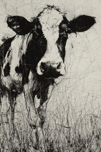 Jersey Cow Wall Art