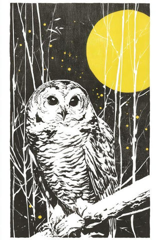 Owl Wall Art — wall art collection