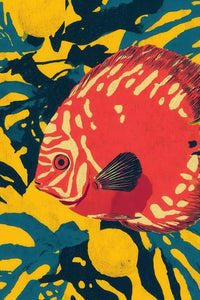 Discus Fish Wall Art