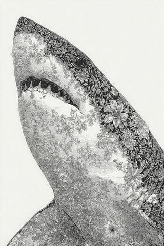 Bull Shark Wall Art — wall art collection