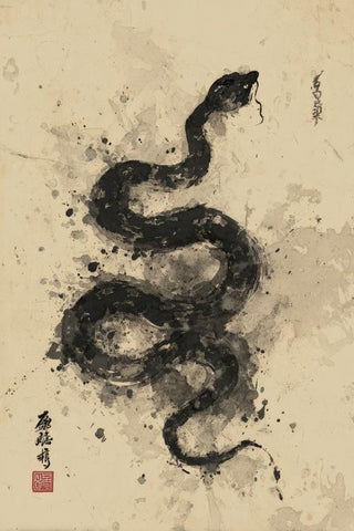 Python Wall Art — wall art collection