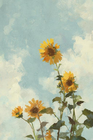Sunflower Field Wall Art — wall art collection