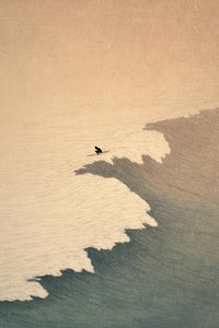 Surfing Wall Art