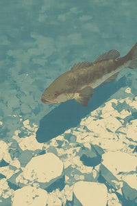 Bass Wall Art
