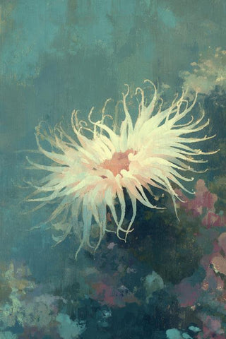 Sea Anemone Wall Art — wall art collection