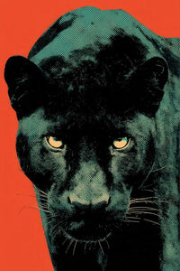 Panther Wall Art