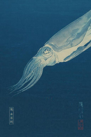 Squid Wall Art — wall art collection