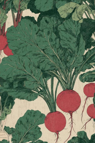 Salad Wall Art — wall art collection