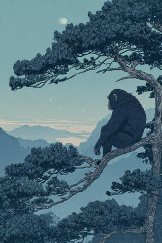 Chimpanzee Wall Art — wall art collection