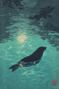 Sea Lion Wall Art