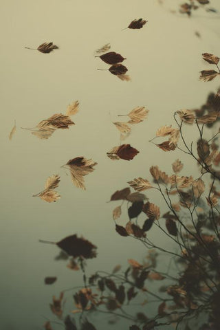 Leaf Wall Art — wall art collection