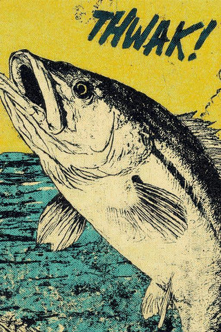 Snook Wall Art — wall art collection