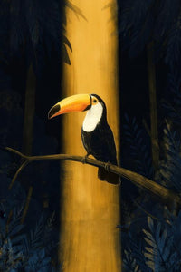 Toucan Wall Art