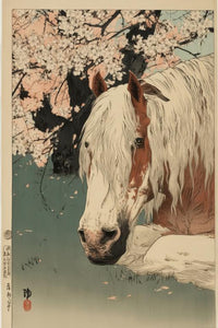 Clydesdale Horse Wall Art