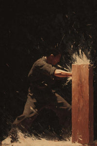 Kung Fu Wall Art