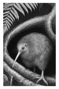 Kiwi Wall Art