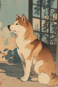 Shiba Inu Wall Art