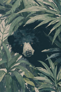 Sloth Bear Wall Art