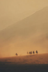 Horseback Wall Art