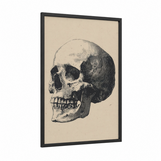 Classic Anatomical Skull framed art print — black wood frame — black and white and cream palette